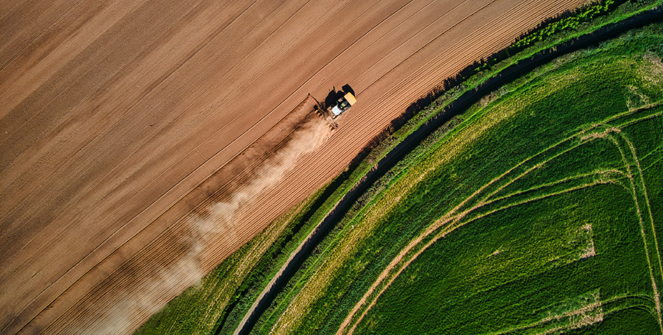 Sustainable food systems